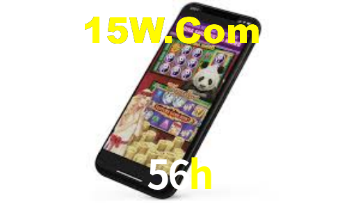 Interface Premium 56h